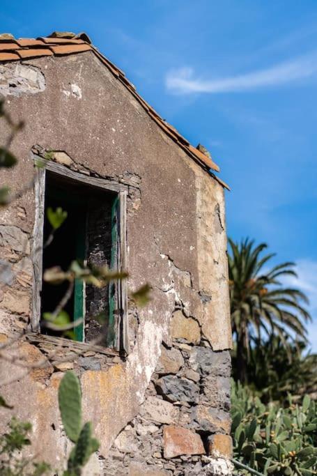 Vivienda Vacacional Rosa Blanca (Adults Only) Arure Екстер'єр фото